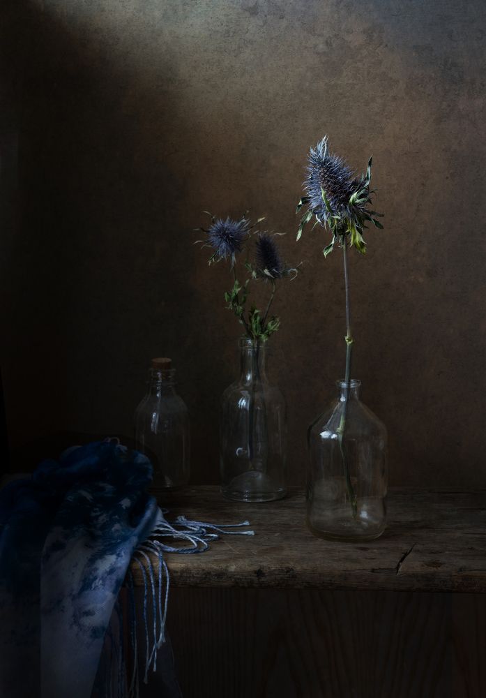 Photograph by Елена Виноградова