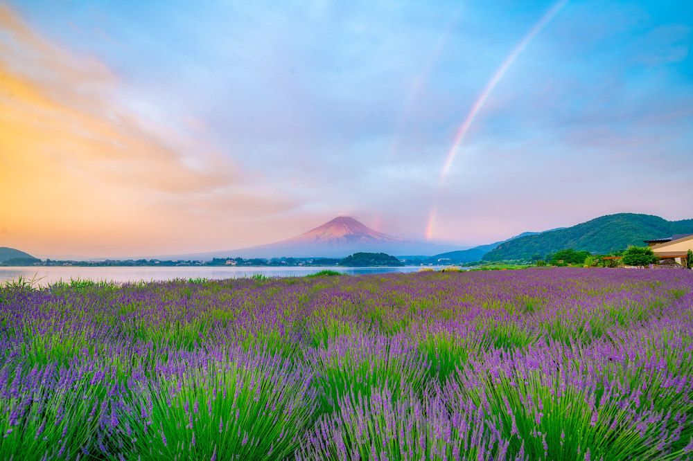 Фотография автора Nguyen Khac Tien
