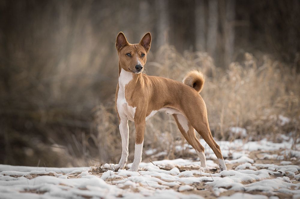 Фотография автора Iurii Butakov