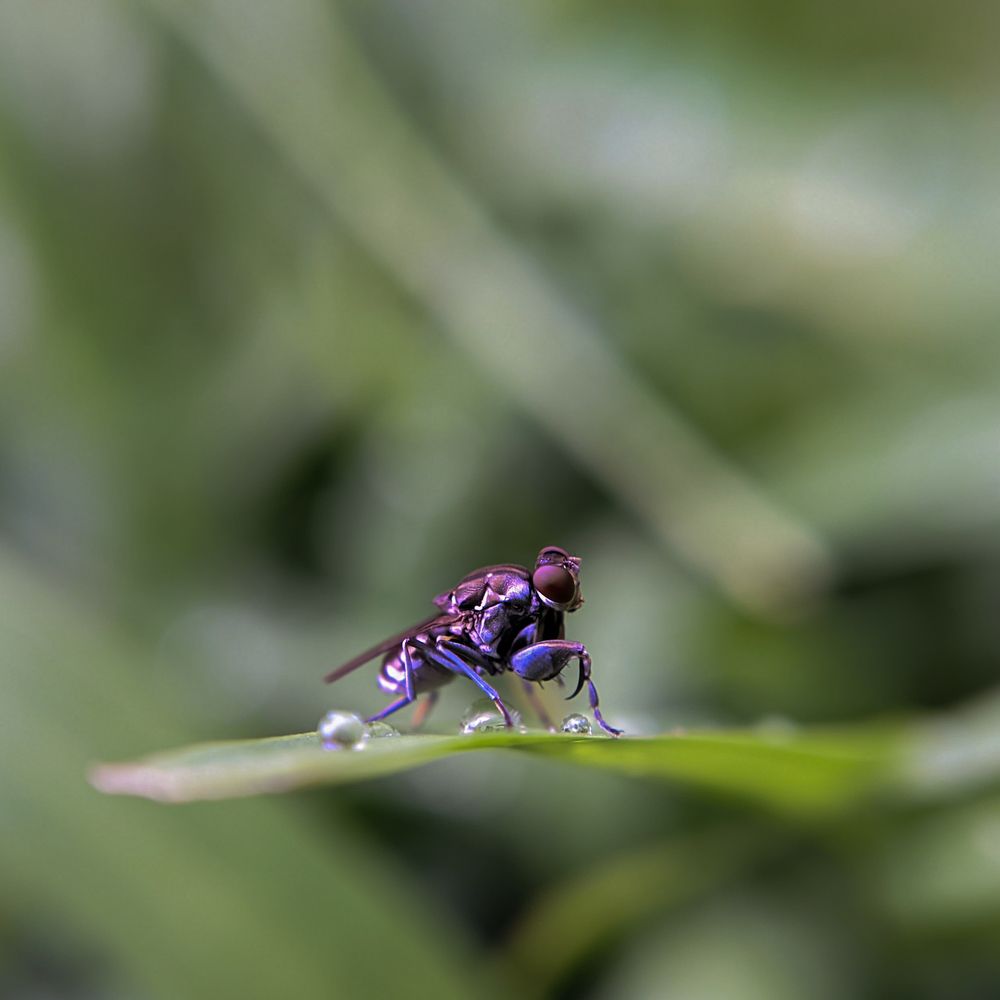 Photograph by Remart Potato