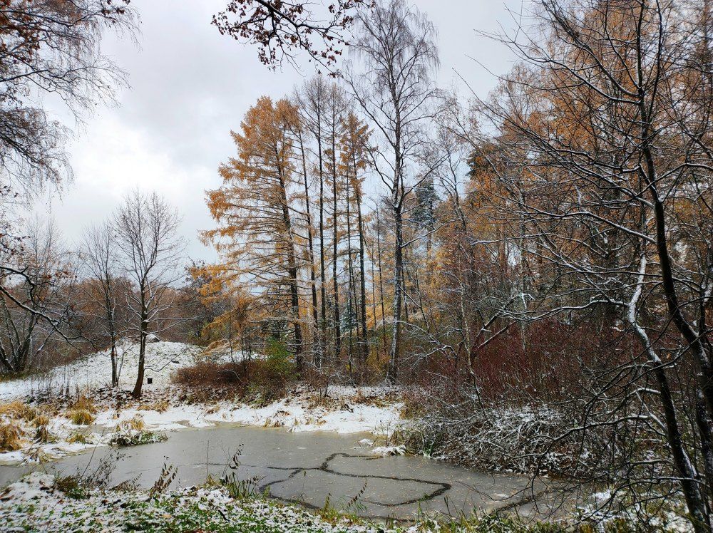 Первый снег