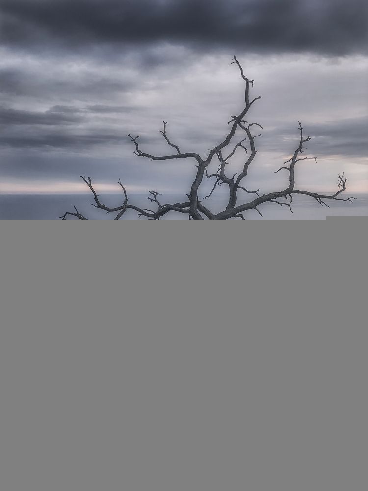 Photograph by Roman Lyubimski