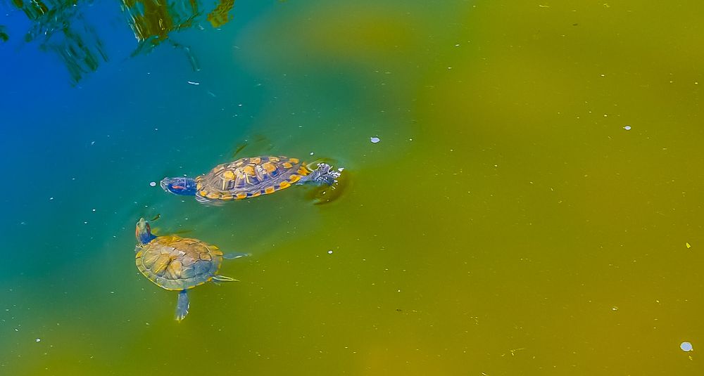 Photograph by Станислав Созонов