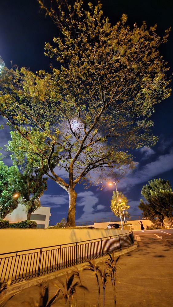 Photograph by Ma Carmela Garbin