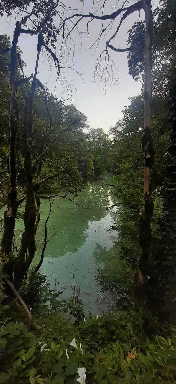 Фотография #10371503