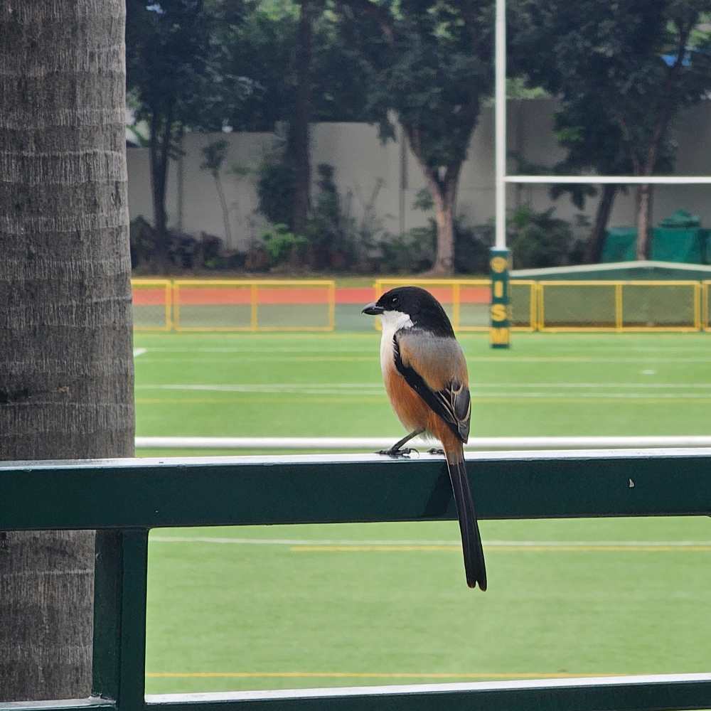 Photograph by Ma Carmela Garbin