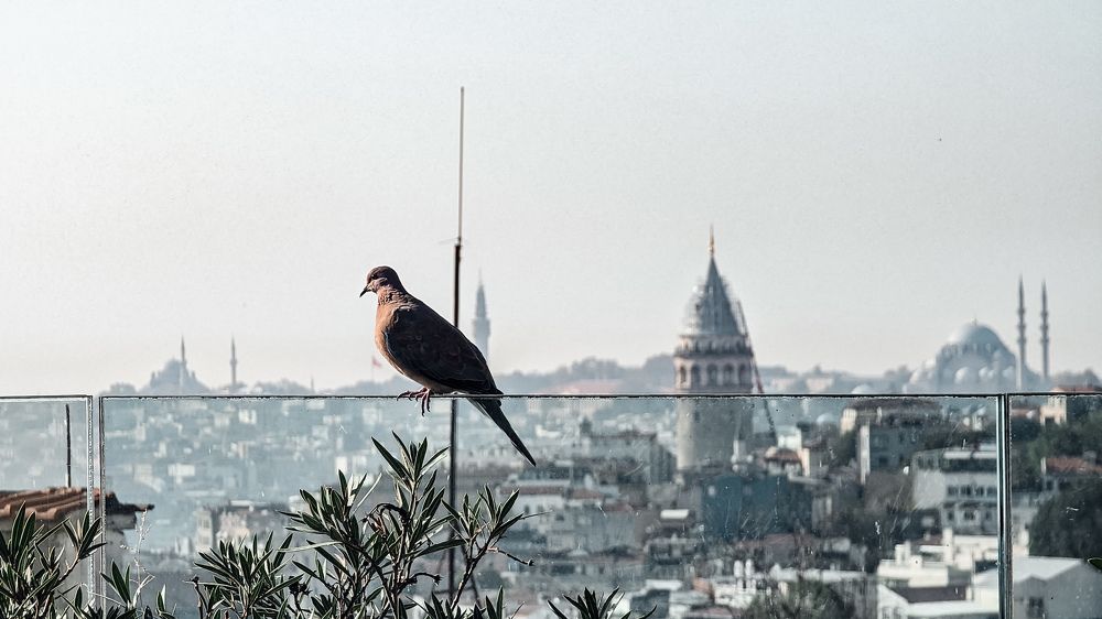 Photograph by Uliana Volegova