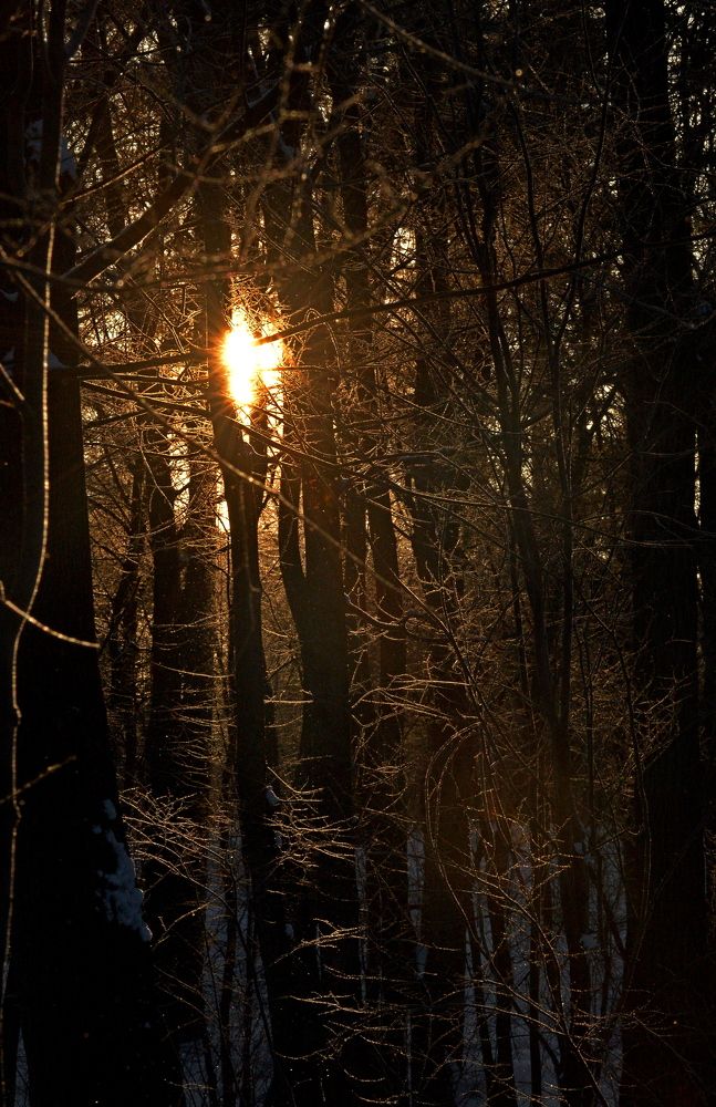 Photograph by Алексей Козлов