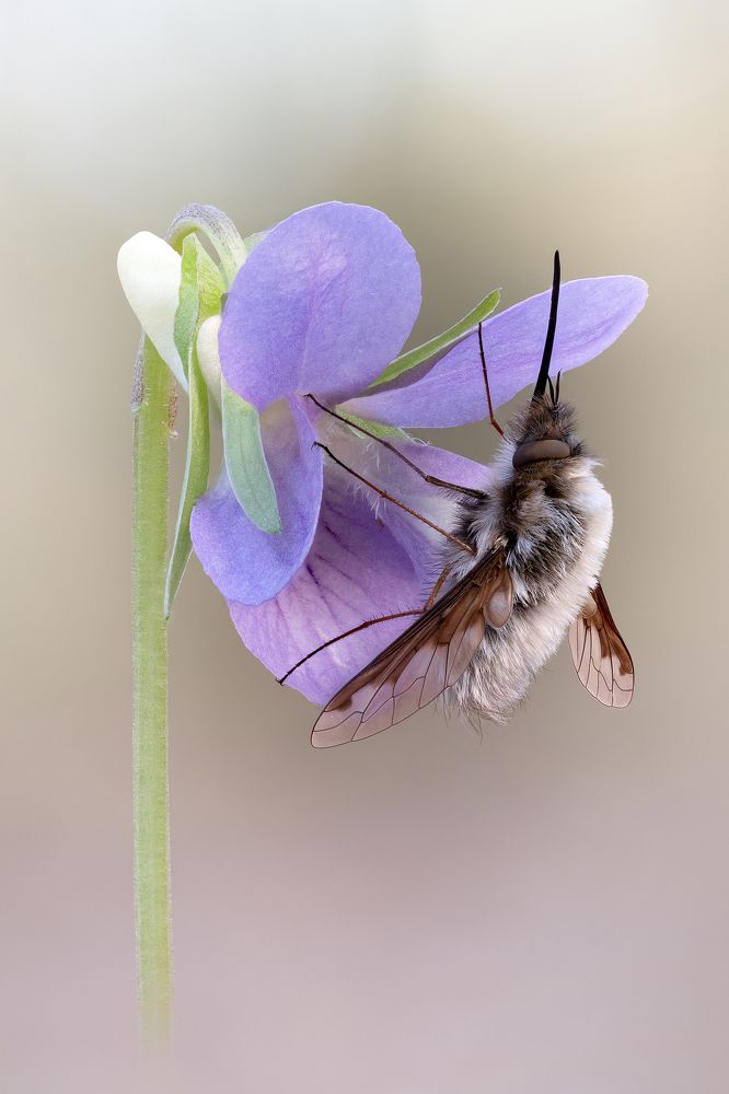 Photograph by Кузнецов Дмитрий