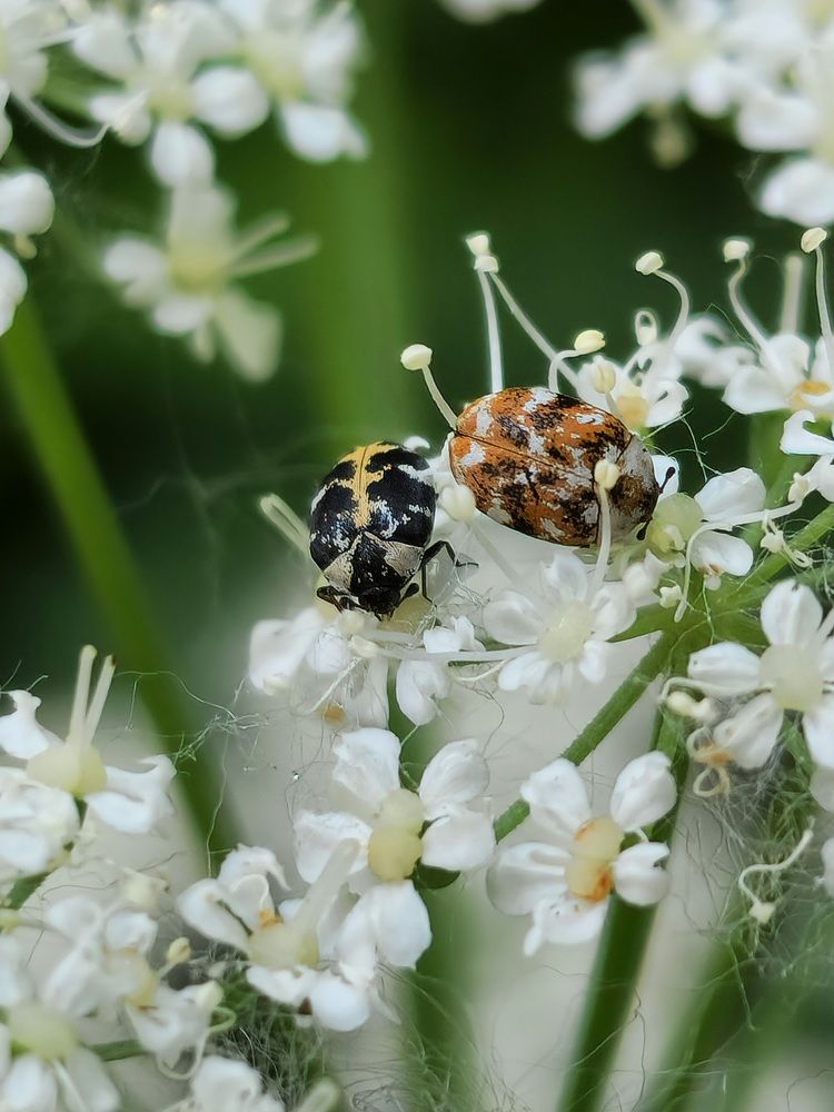 Фотография автора Ольга