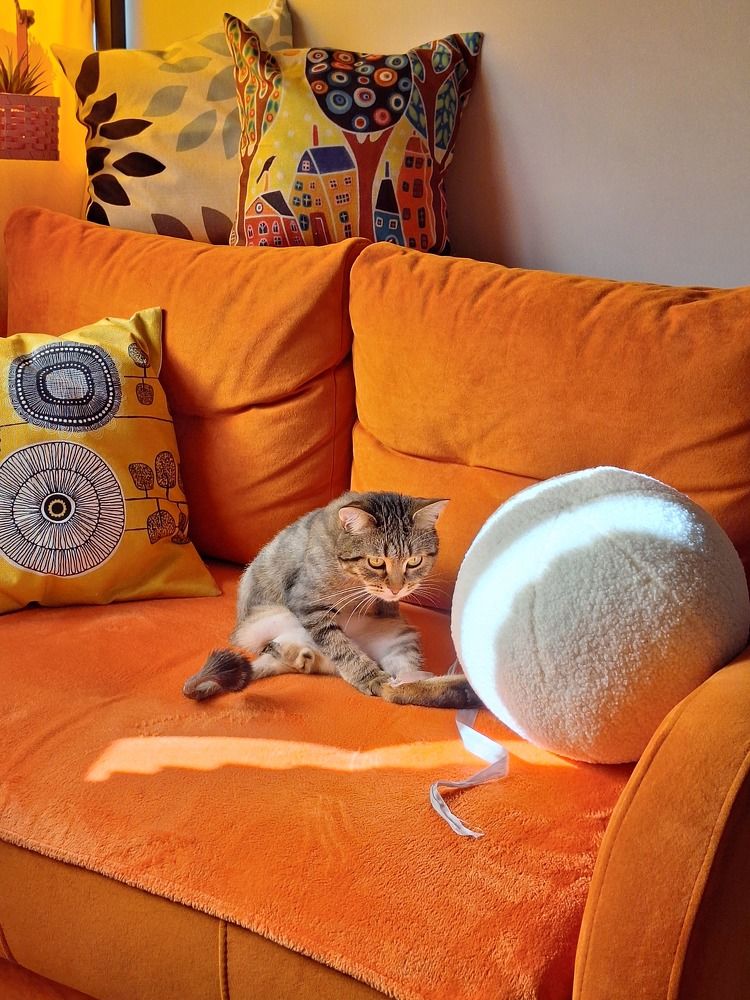 Photograph by Игорь Чечин