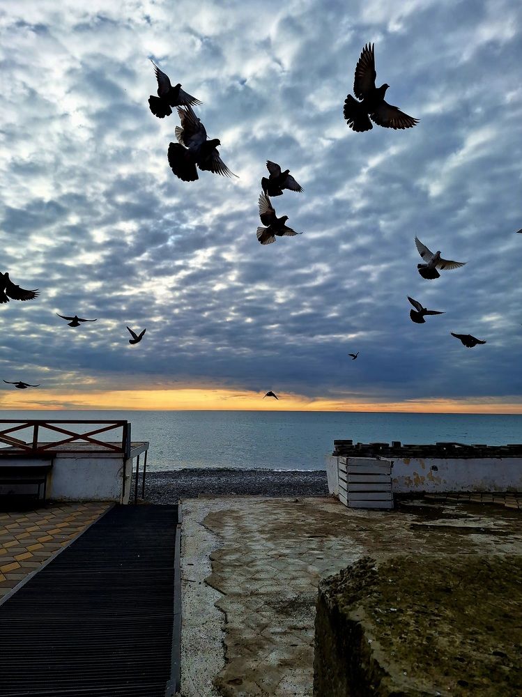 Photograph by Игорь Чечин