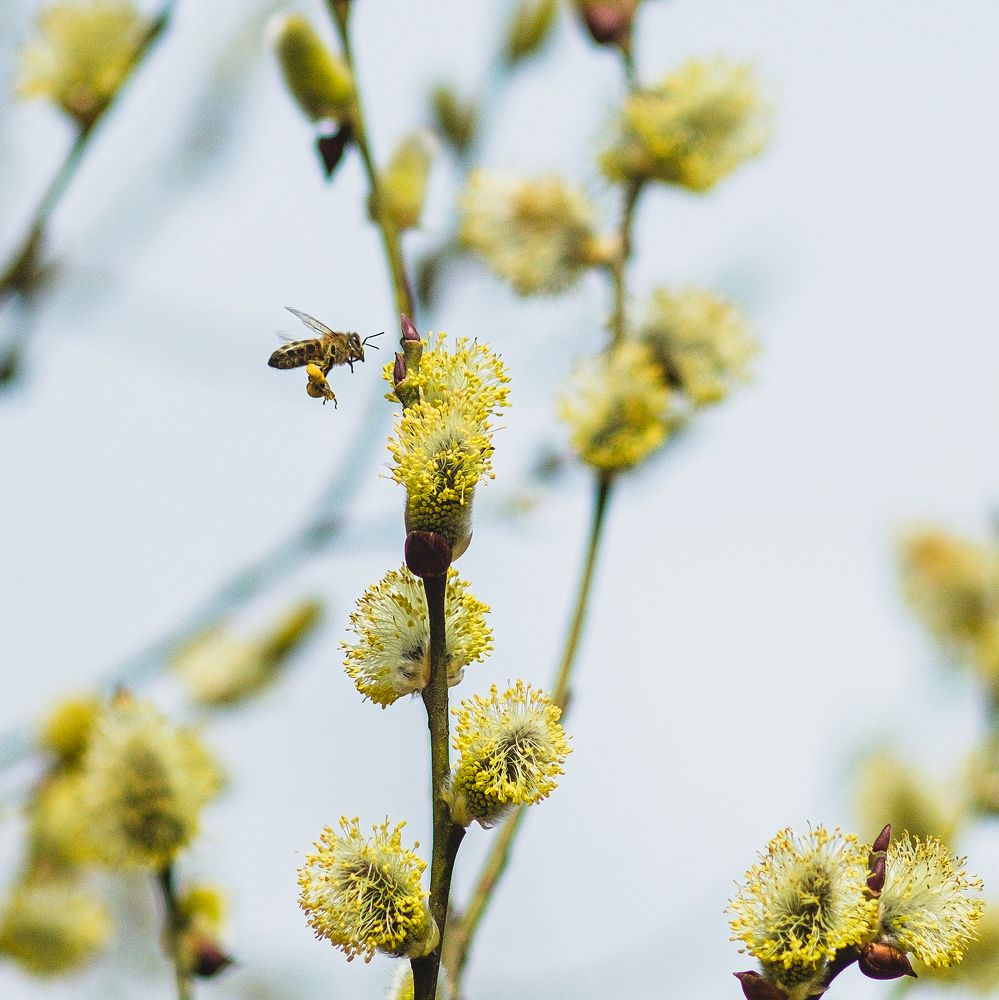 Photograph by Александр Потапов
