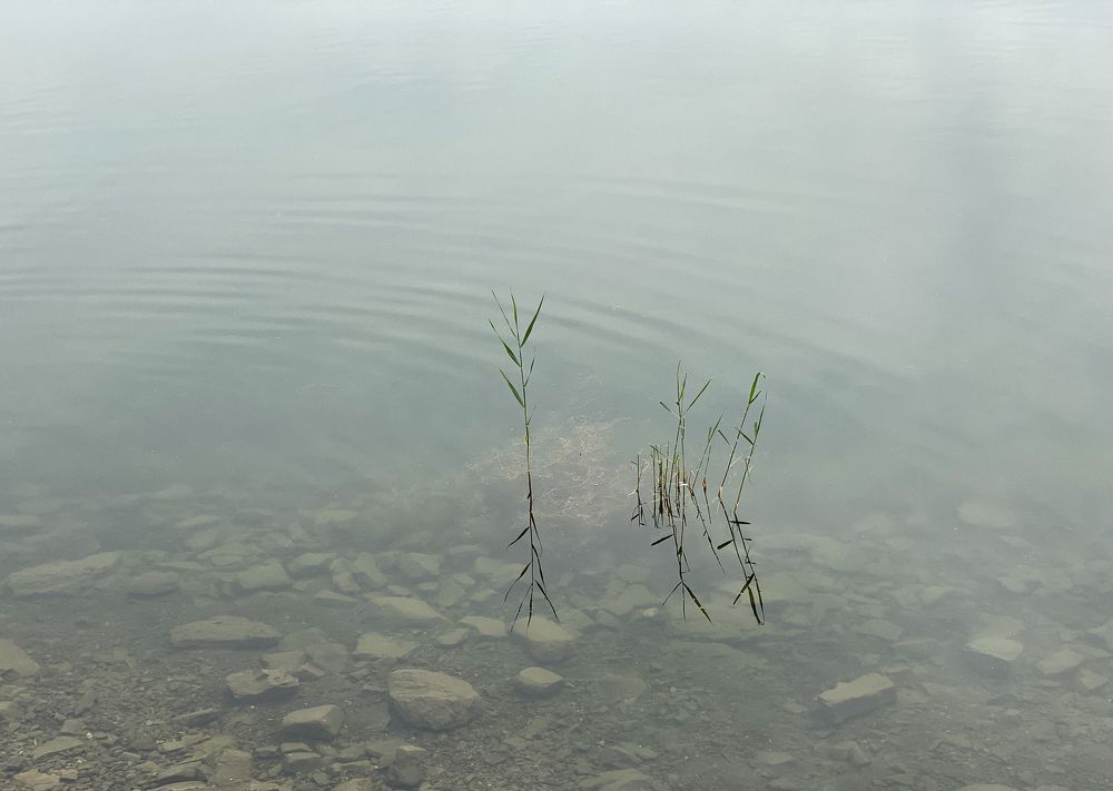 Photograph by Olya Kozlova