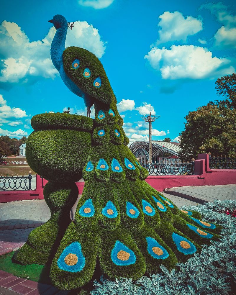 Photograph by Павел Агеев