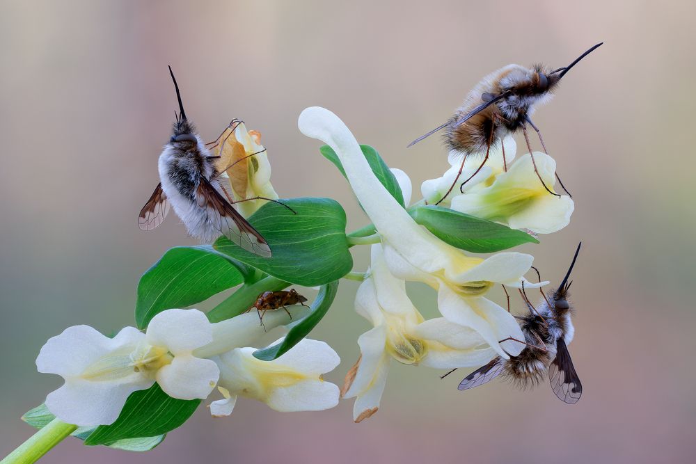 Photograph by Кузнецов Дмитрий