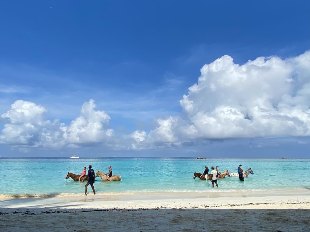 Horsing on the ocean