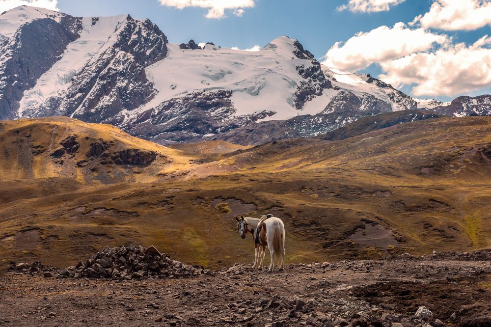 Photograph by Isabel Garcia