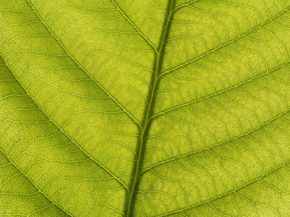 Photograph by Vladislav Chernencko