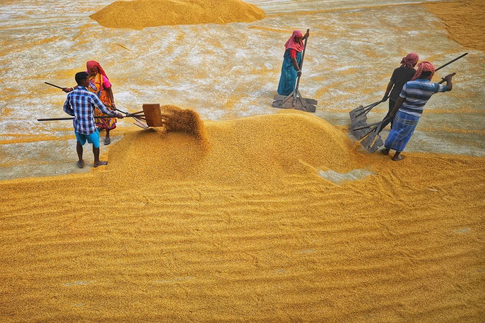 Photograph by DIBAKAR ROY