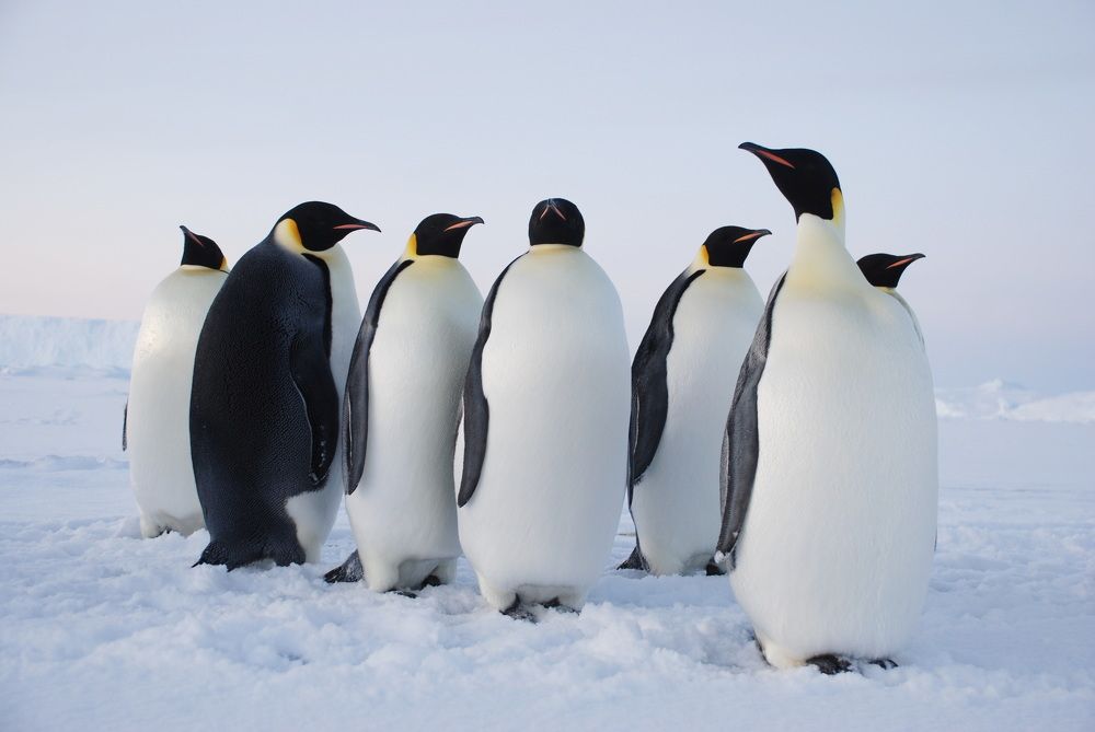 Photograph by Лев Синкин