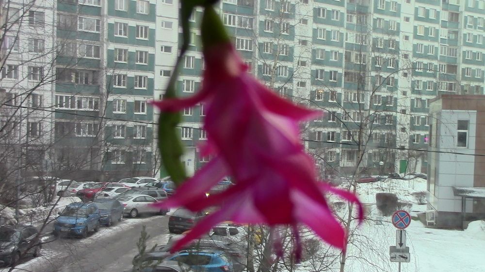 Photograph by Ирина Степановна Азаренкова