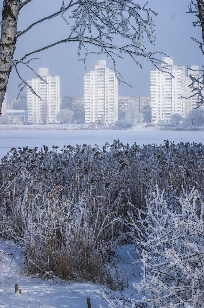 Photograph by Любава Носкова