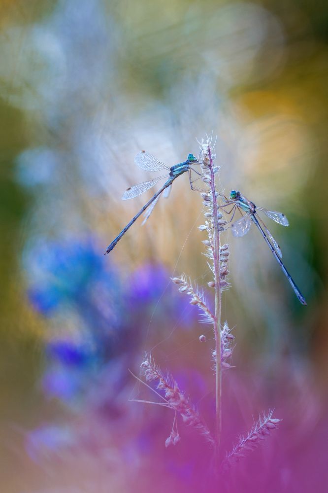 Photograph by Кузнецов Дмитрий