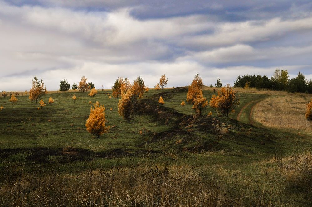 Photograph by Stanislav Shelby