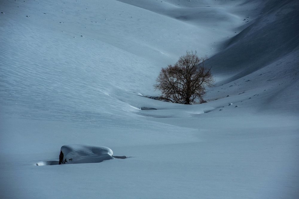 Photograph by saman kanzi