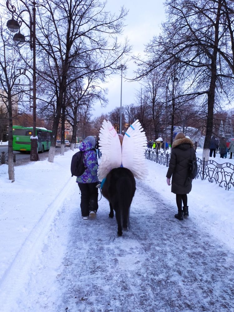 Photograph by Татьяна Клемба