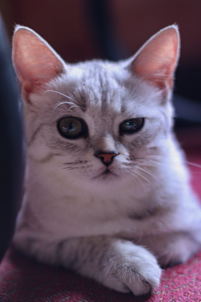 Photograph by Алексей Швецов