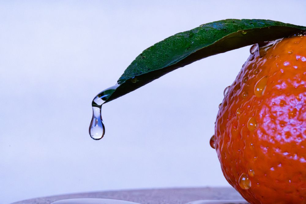 Photograph by Елена Богдан