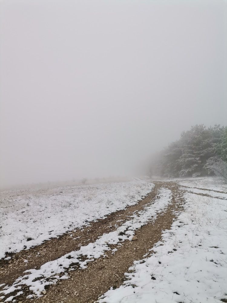 Photograph by Екатерина Романова