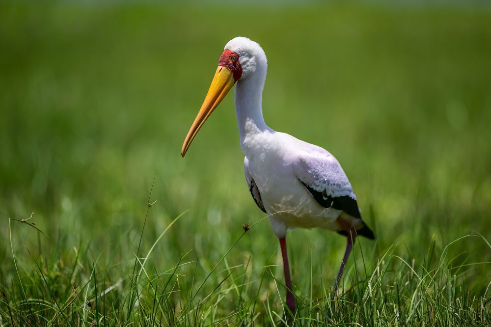 Photograph by Пупонин Сергей