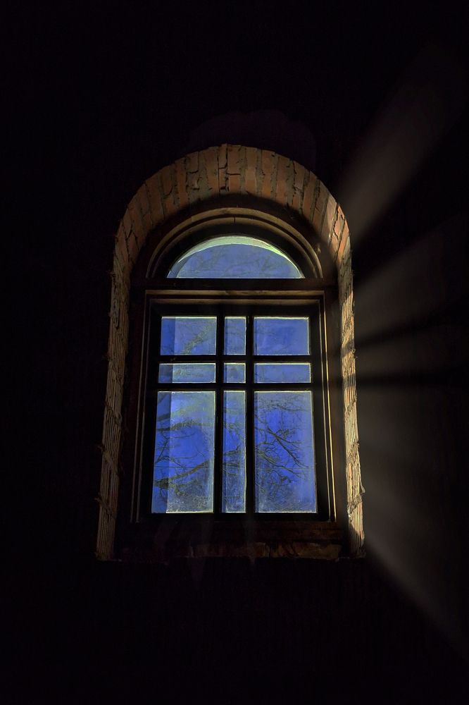 Фотография автора Кристина Догодька