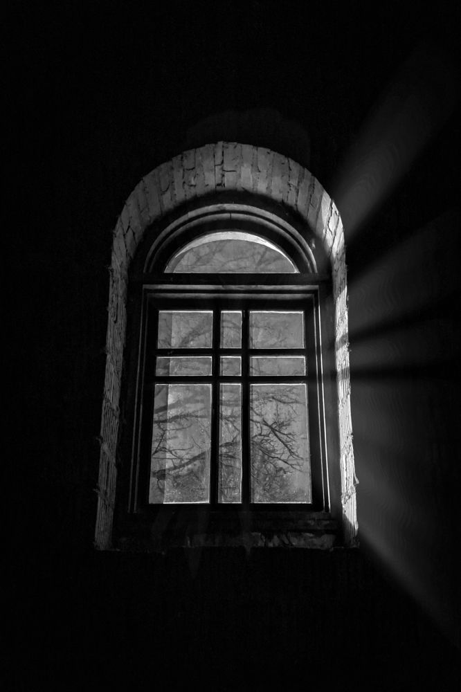 Фотография автора Кристина Догодька