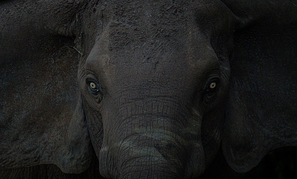 Photograph by Turgay Uzer