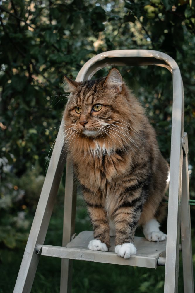 Photograph by Галина Ноздрина