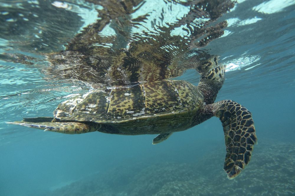 Photograph by Галина Михоношина