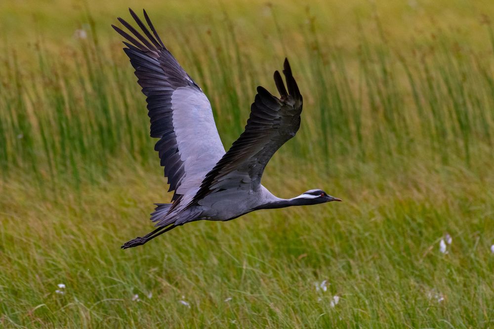 Photograph by Поляков Алексей