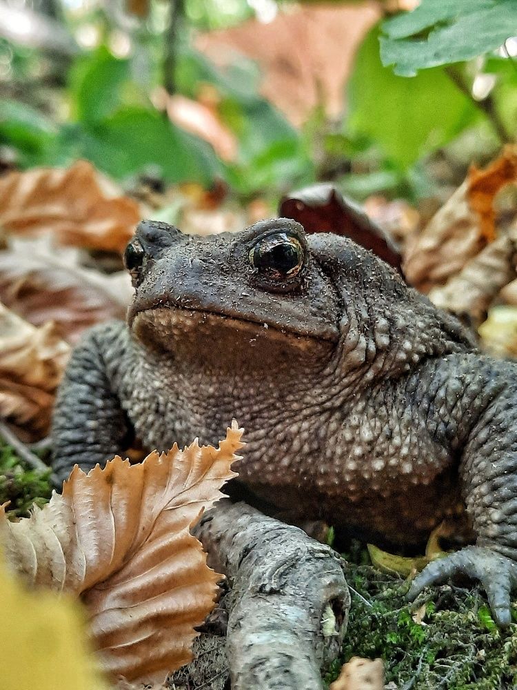 Photograph by Татьяна Григорчук