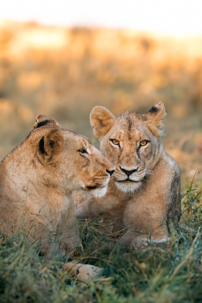 Photograph by Maggie Parise