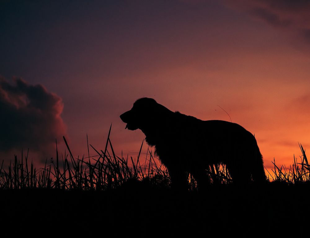 Photograph by Margarita Sitisheva