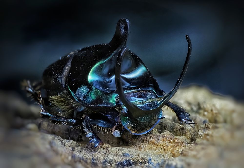 Photograph by Савчук Анатолий