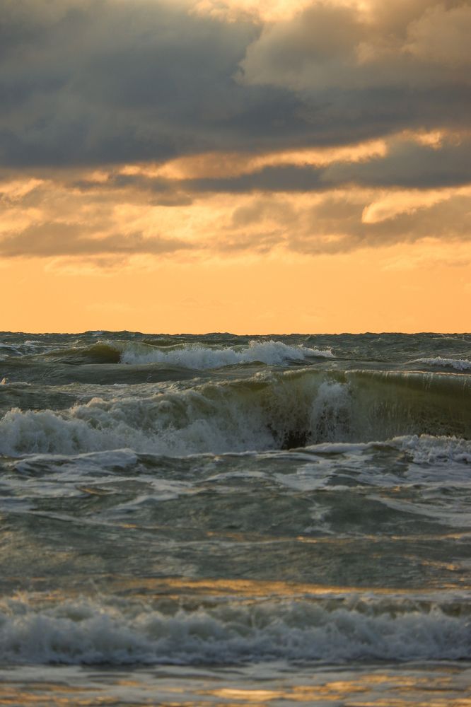 Фотография автора Elvijs Kalnins