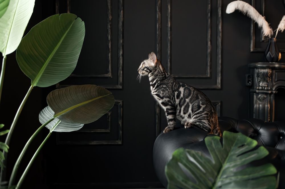 Фотография автора Мавлютова Алена