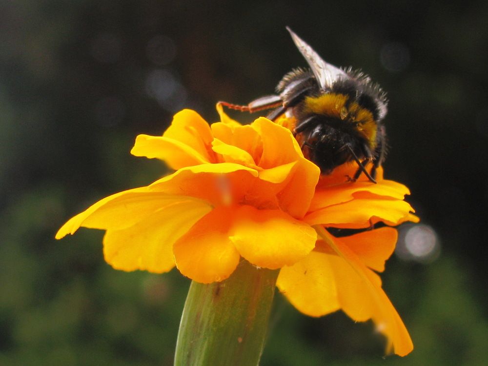 Photograph by Yulia Deimos