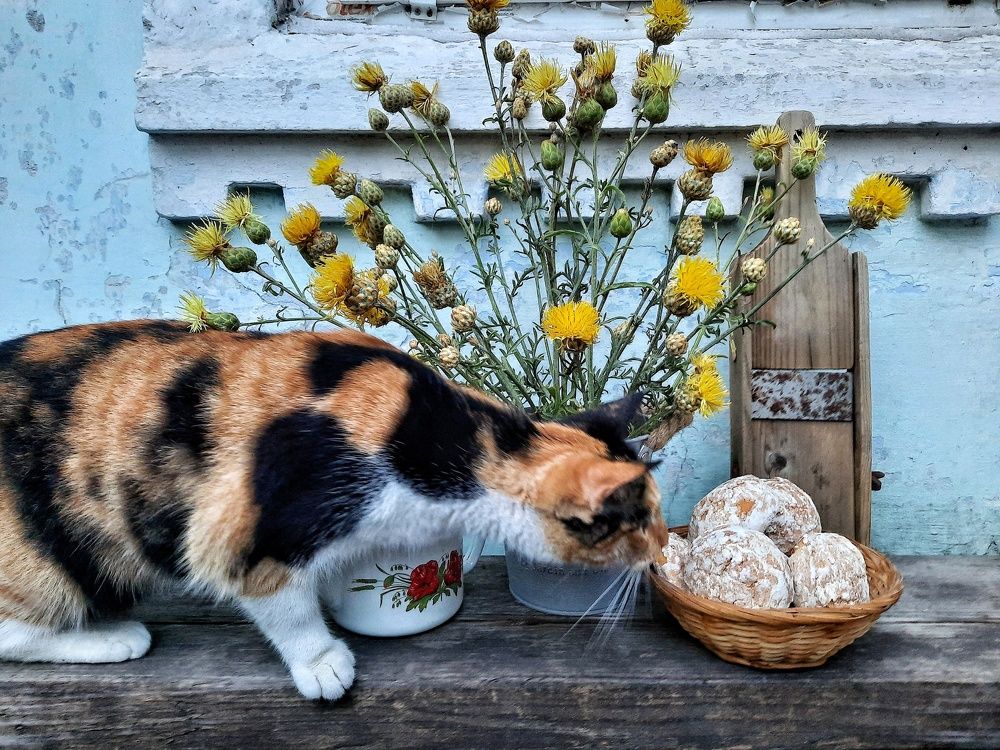 Photograph by Татьяна Григорчук