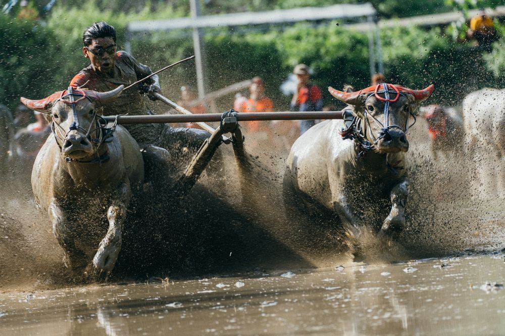 Photograph by Юрий Смольницкий